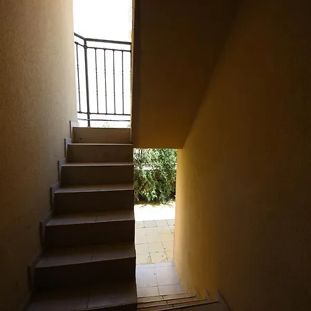 Menada Amadeus 1 *